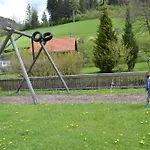 Schweiger Gasen