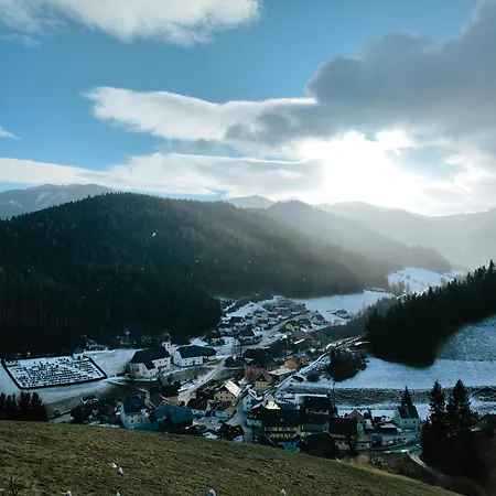 Schweiger Jagawirt 3* Gasen