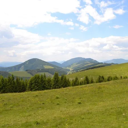 Pension Schweiger Guest house 3*