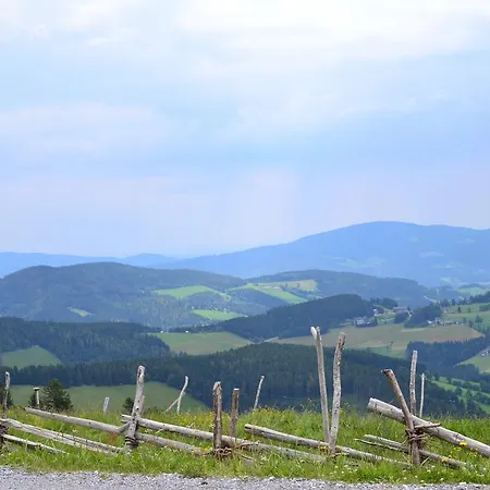 Pension Schweiger Guest house Gasen