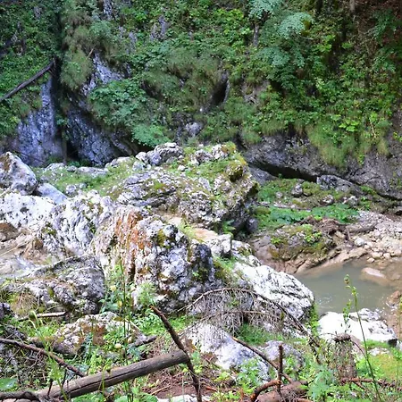 Pension Schweiger Gasen