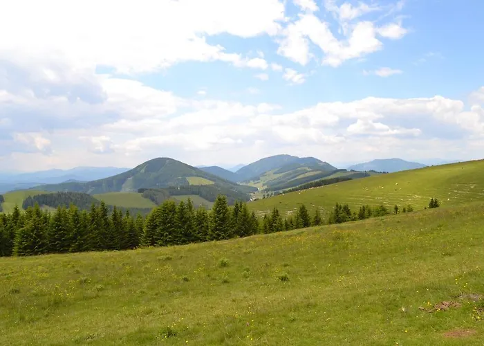 Pension Schweiger Guest house 3*