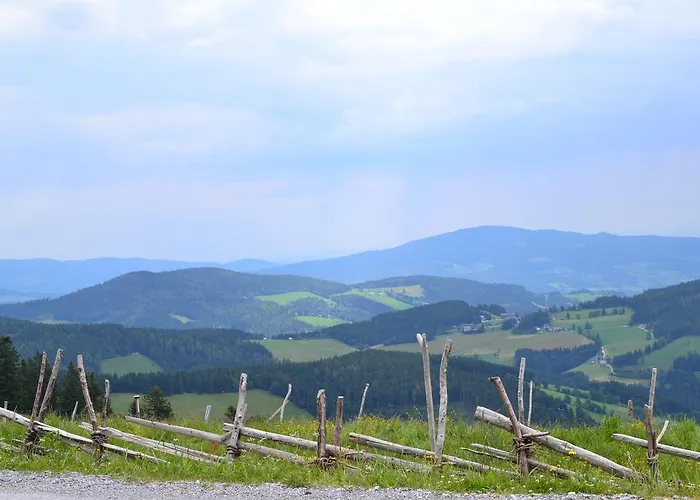 Pension Schweiger Guest house Gasen