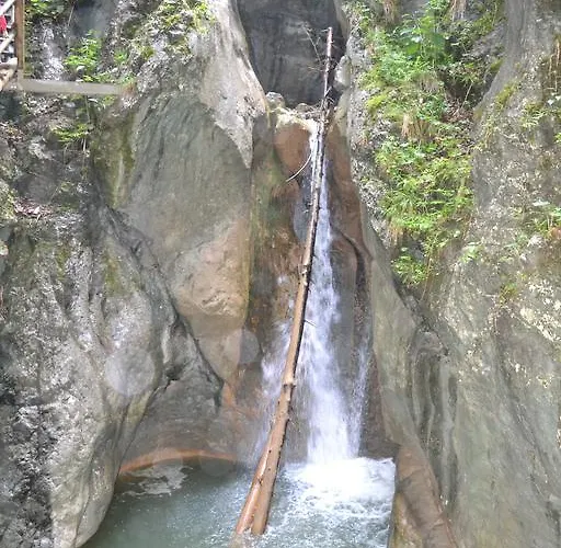 Schweiger Affittacamere