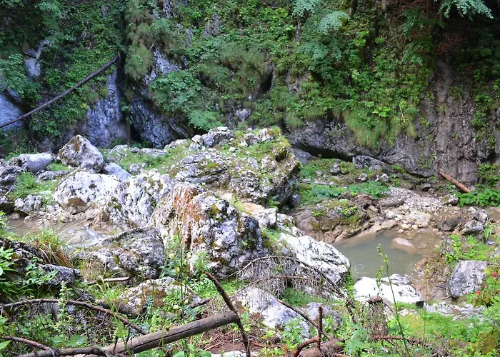 Pension Schweiger Gasen